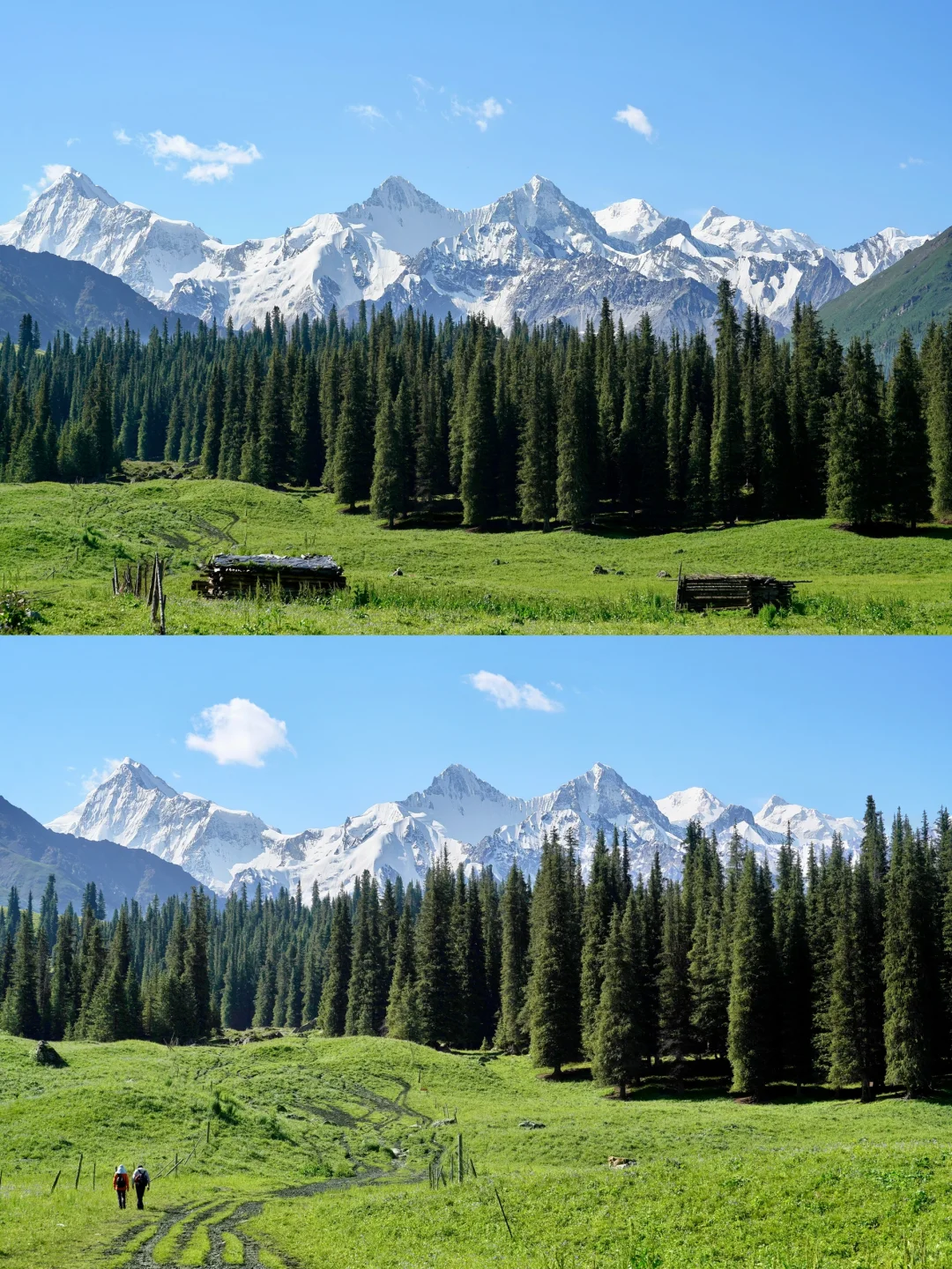 6月的夏塔是拍人生照片的最佳季节