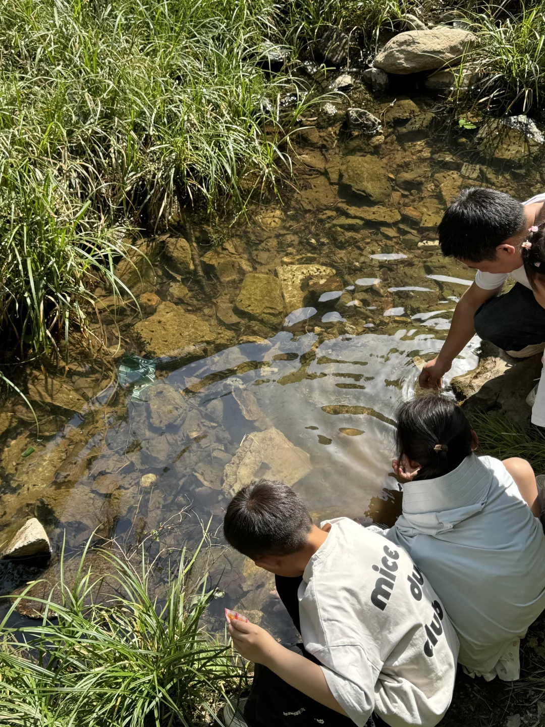 陕西的仙境：金丝峡