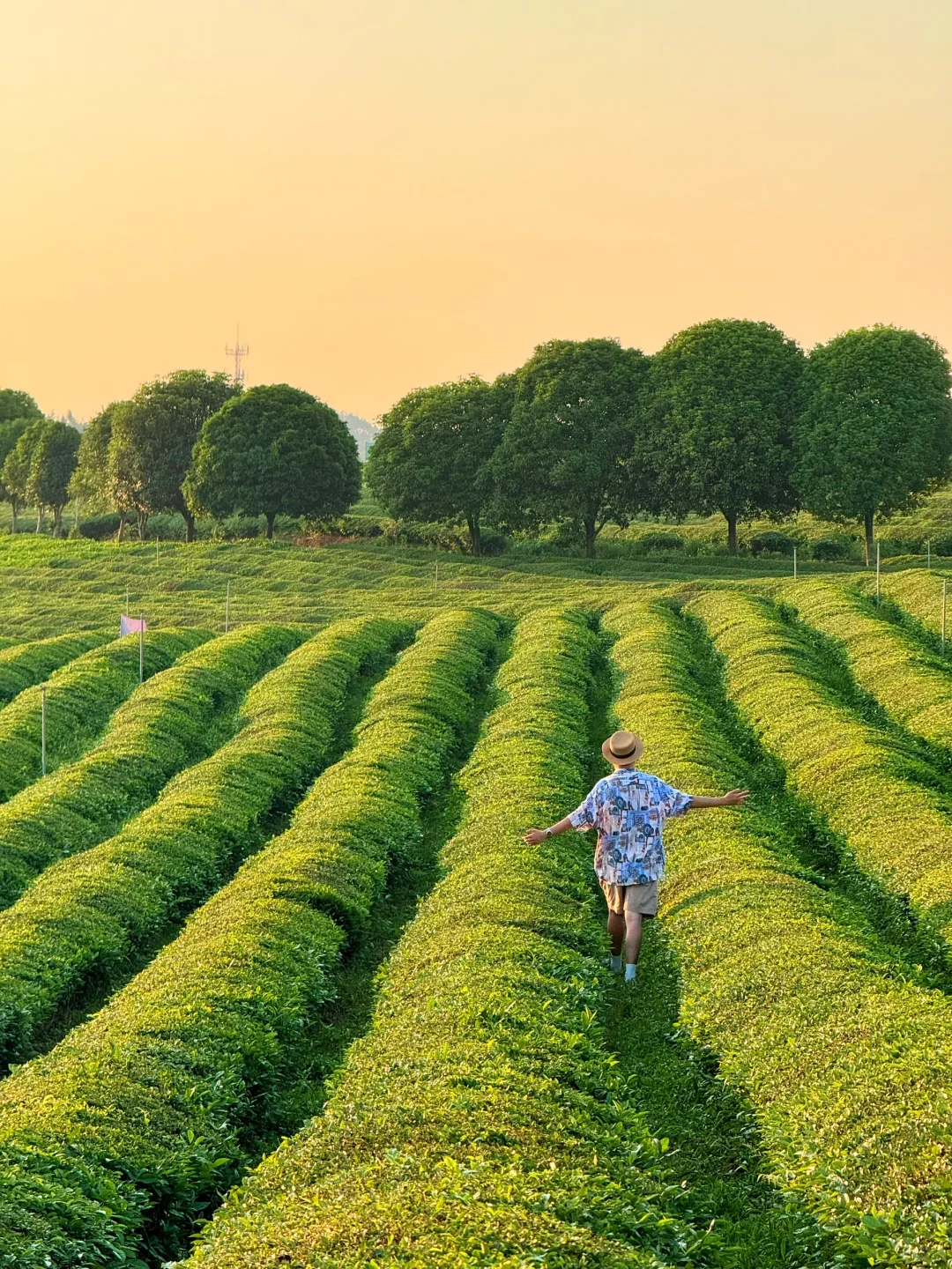 （免费）以为婺源已经够美了，直到我去了这里…