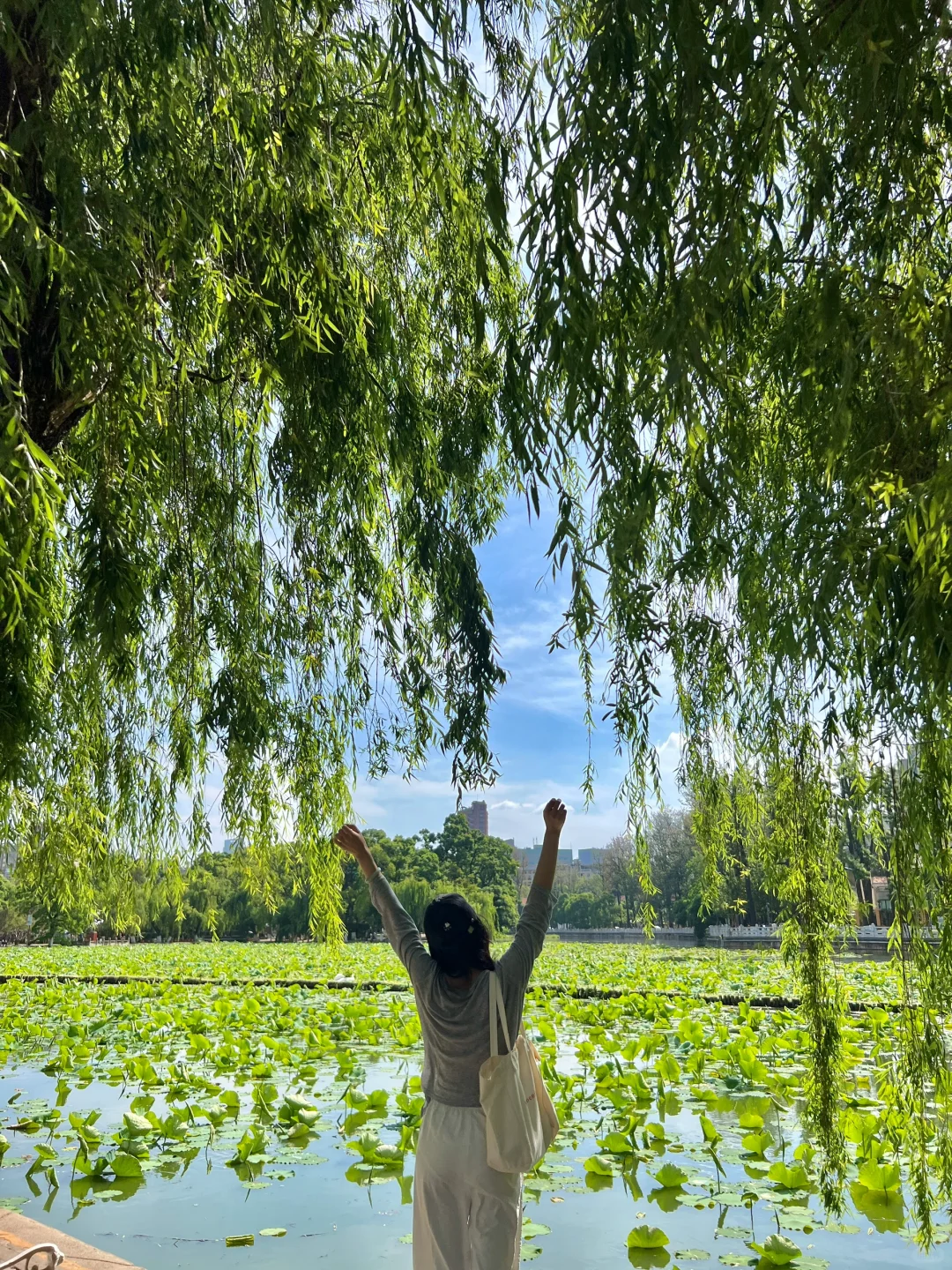 昆明一日游|详细攻略只看这篇!(附爆款机位)