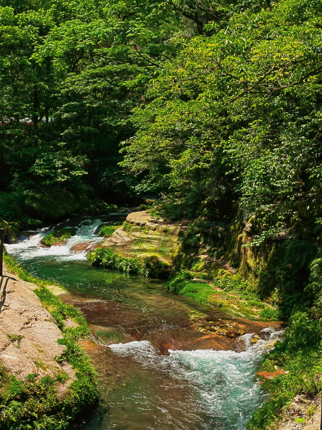 【Day6】湖南•张家界