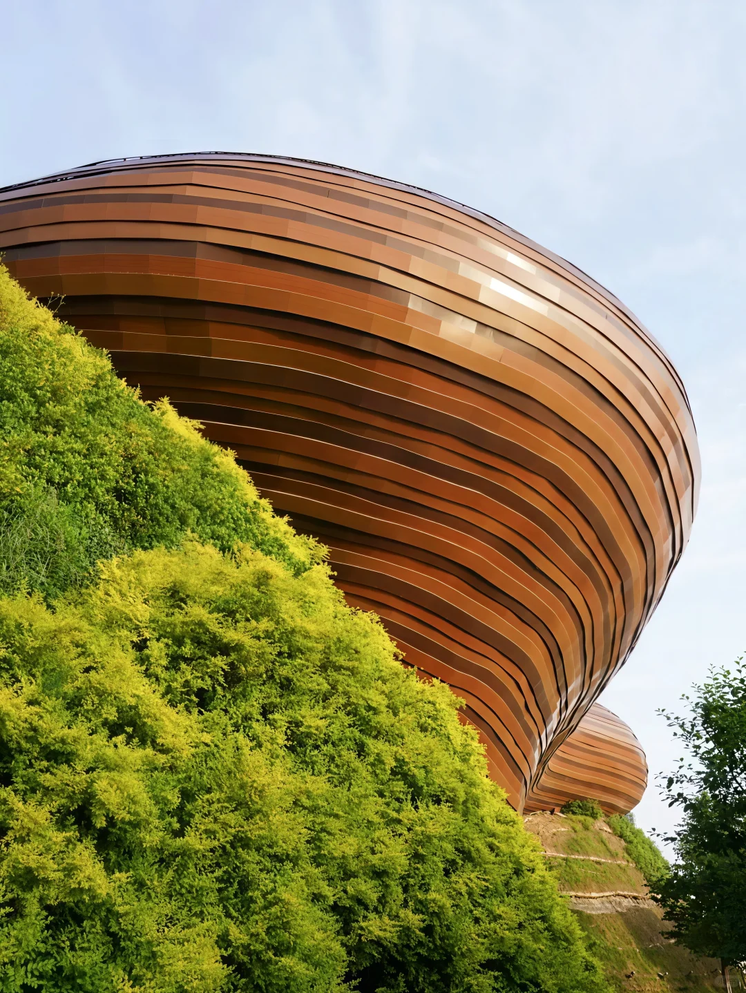 奔县第18站|森林小火车太出片了🚂