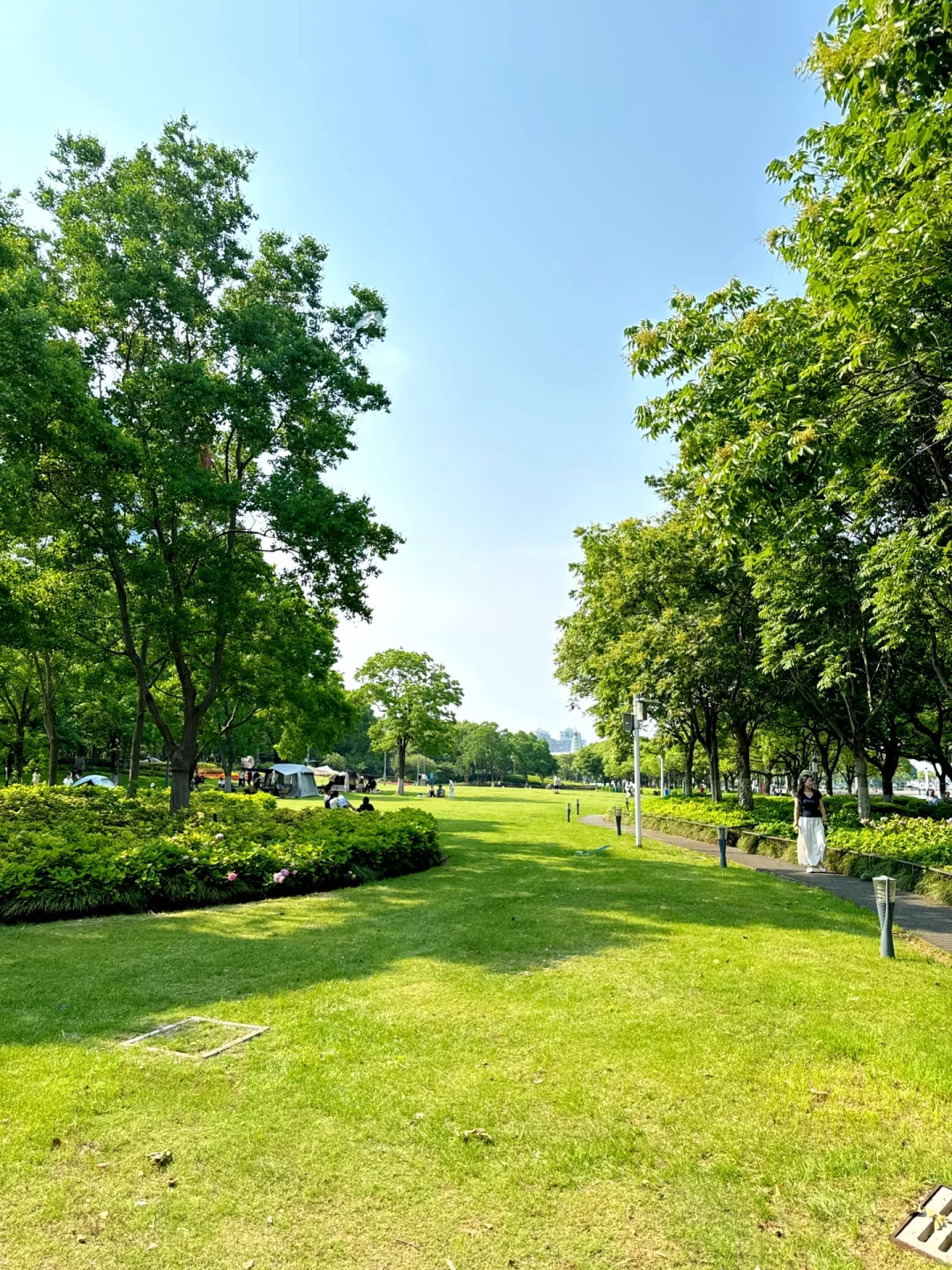 苏州｜金鸡湖绣球，掉进了调色盘般的初夏🌸