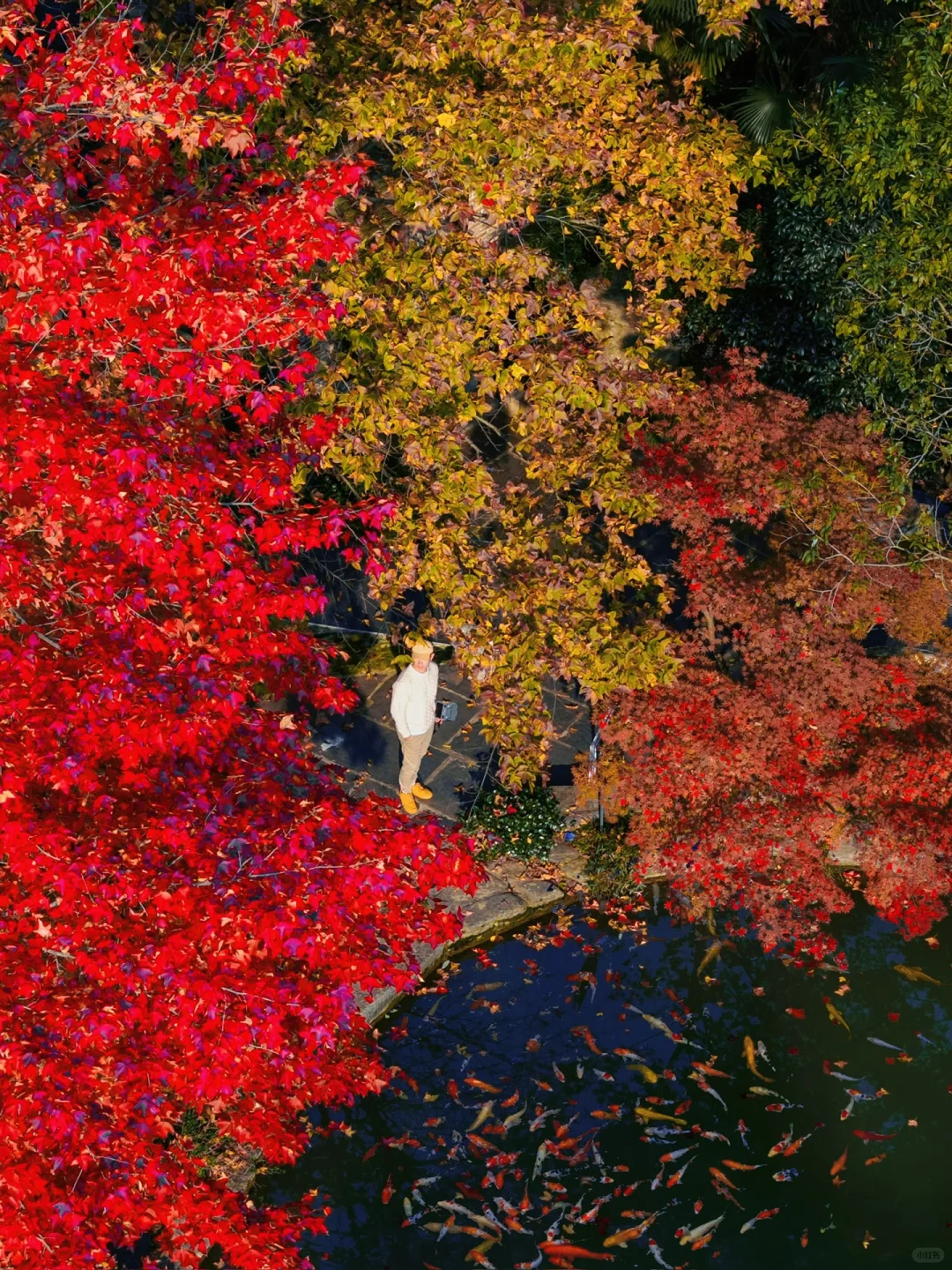 迄今为止，安徽我最喜欢的避世小镇出现了‼️