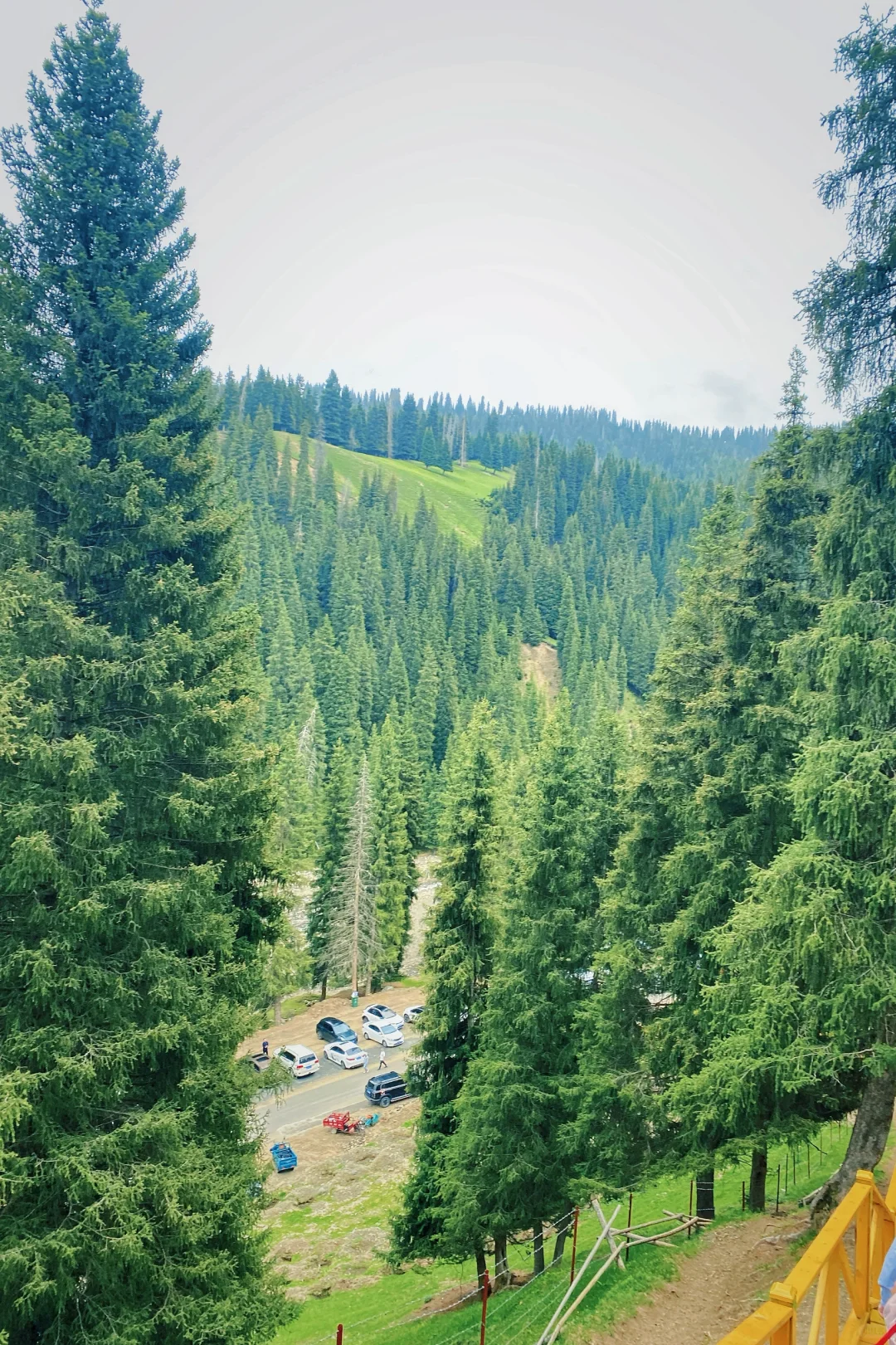 去完后悔了！！！