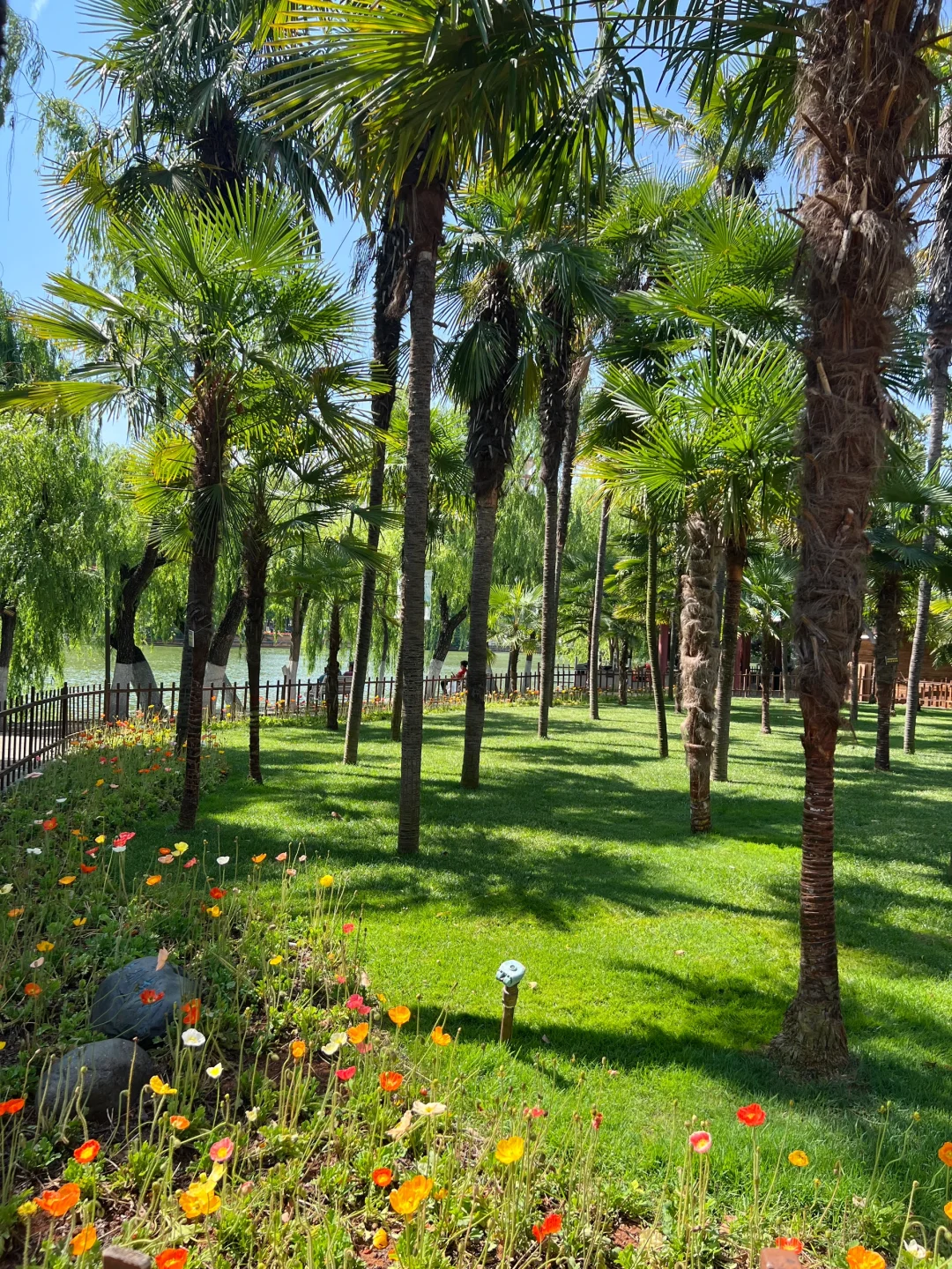 昆明一日游|详细攻略只看这篇!(附爆款机位)