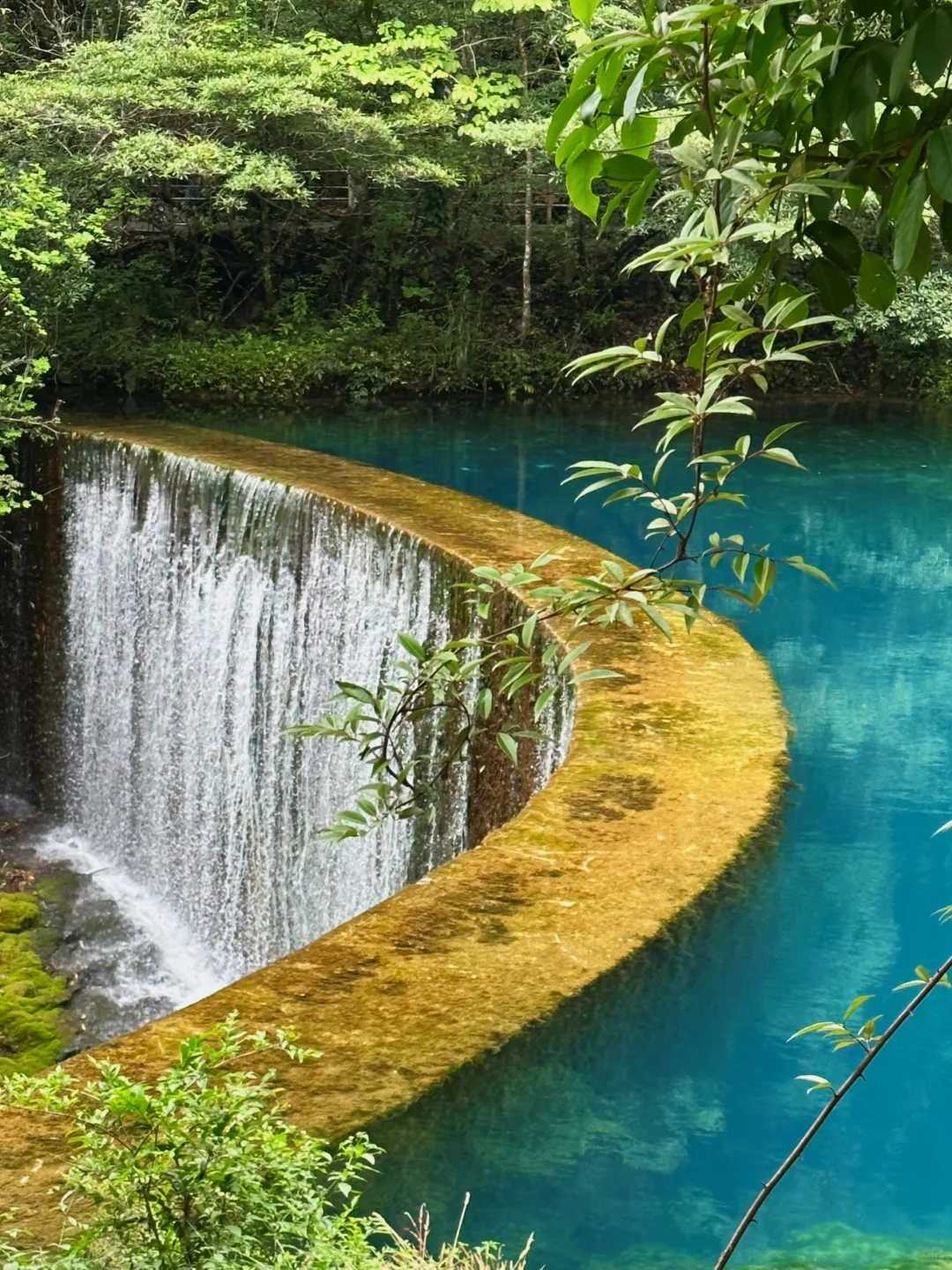 贵州旅游｜荔波小七孔 地球腰带上的绿宝石