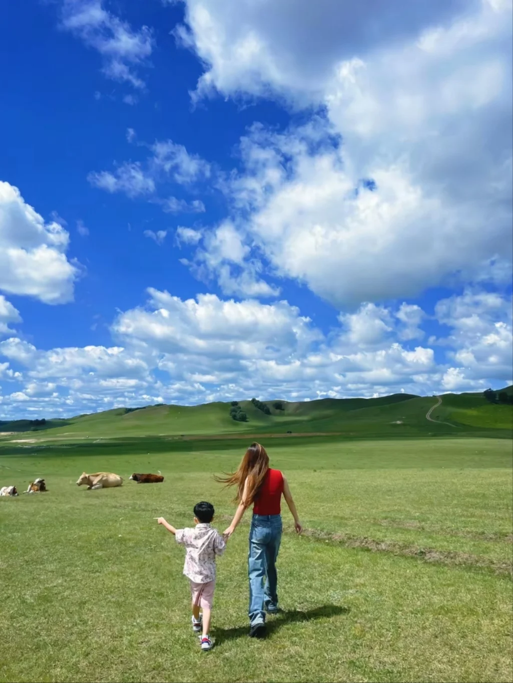 邯郸到乌兰布统大草原三天两晚旅游攻略精华