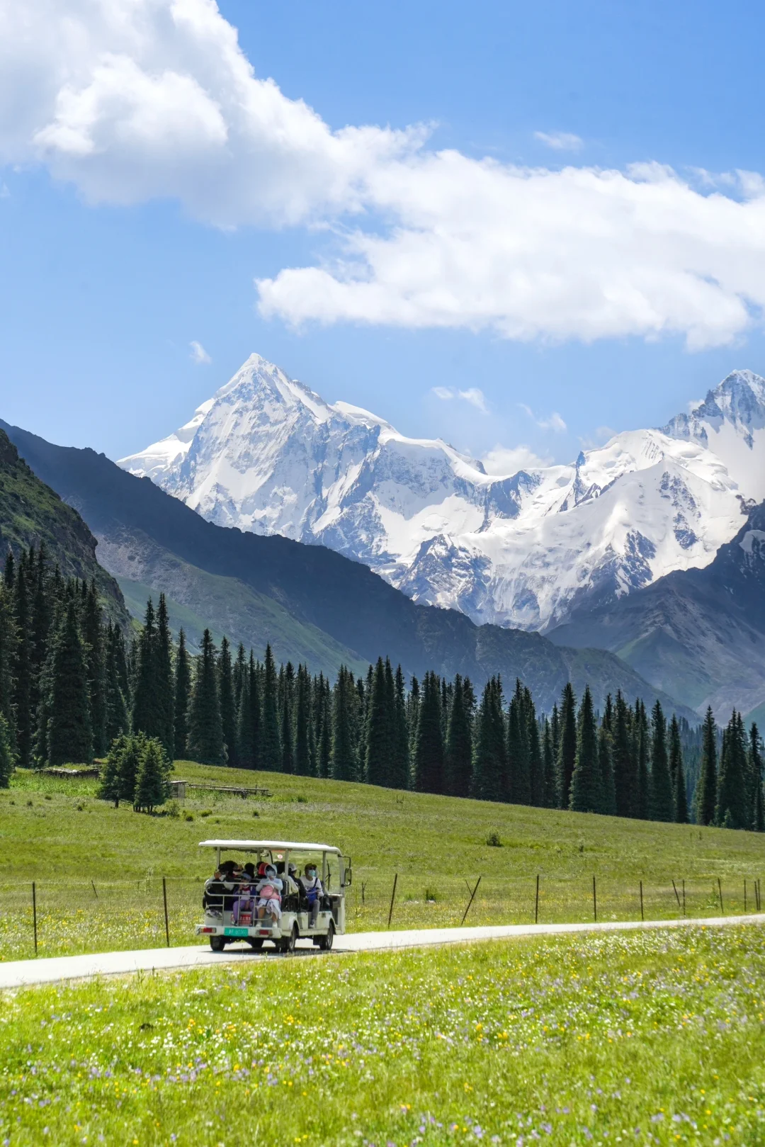 6月的夏塔是拍人生照片的最佳季节