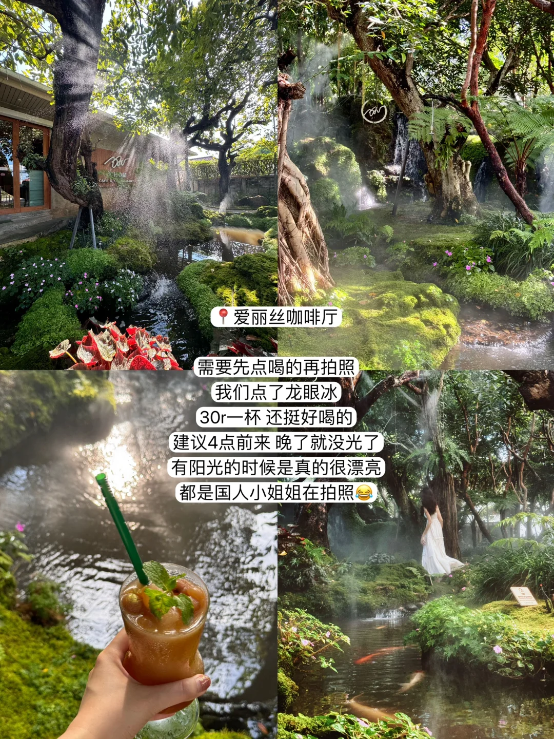 最新清迈五天四夜!P人旅游攻略(含费用)