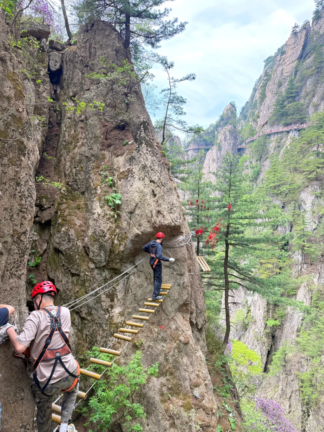 老君山刚回来…避雷了家人们，太无助了😭