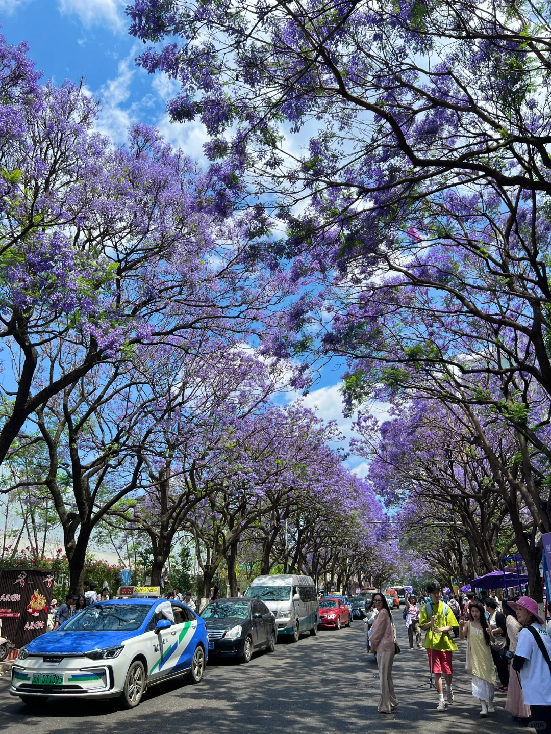 昆明一日游|详细攻略只看这篇!(附爆款机位)