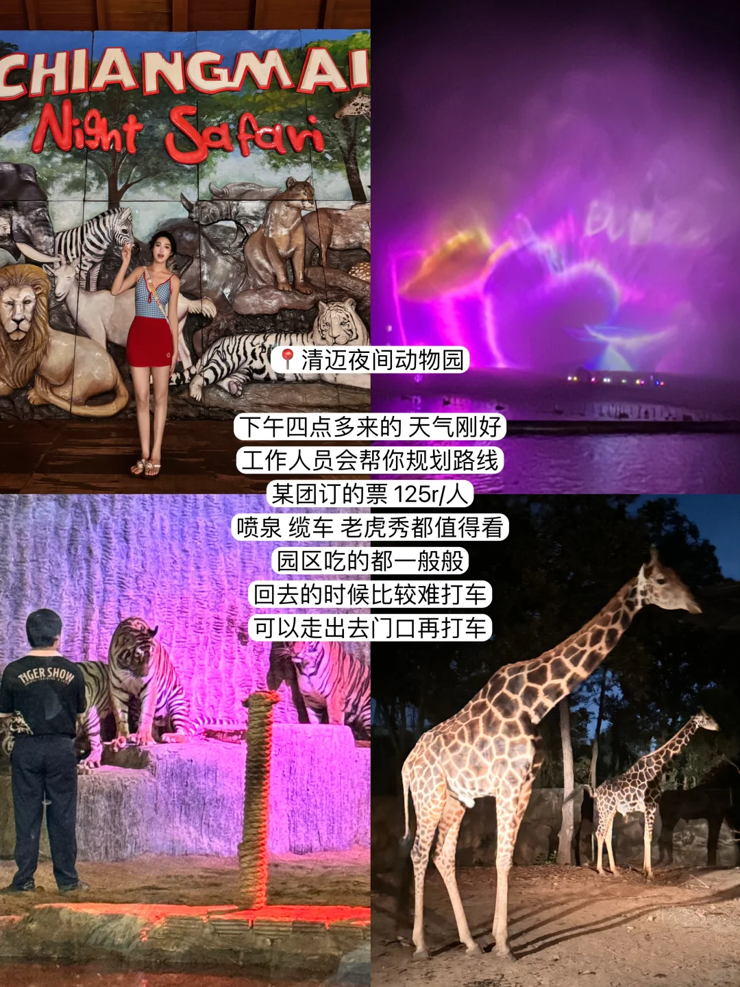 最新清迈五天四夜!P人旅游攻略(含费用)