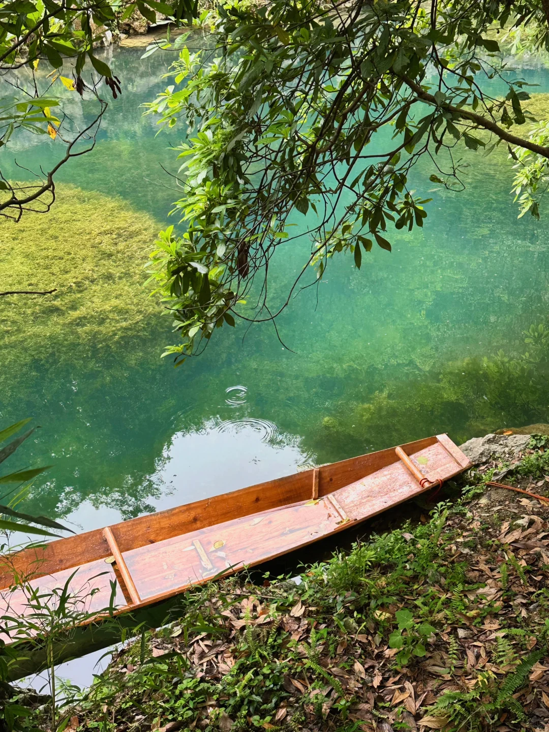 贵州旅游｜荔波小七孔 地球腰带上的绿宝石