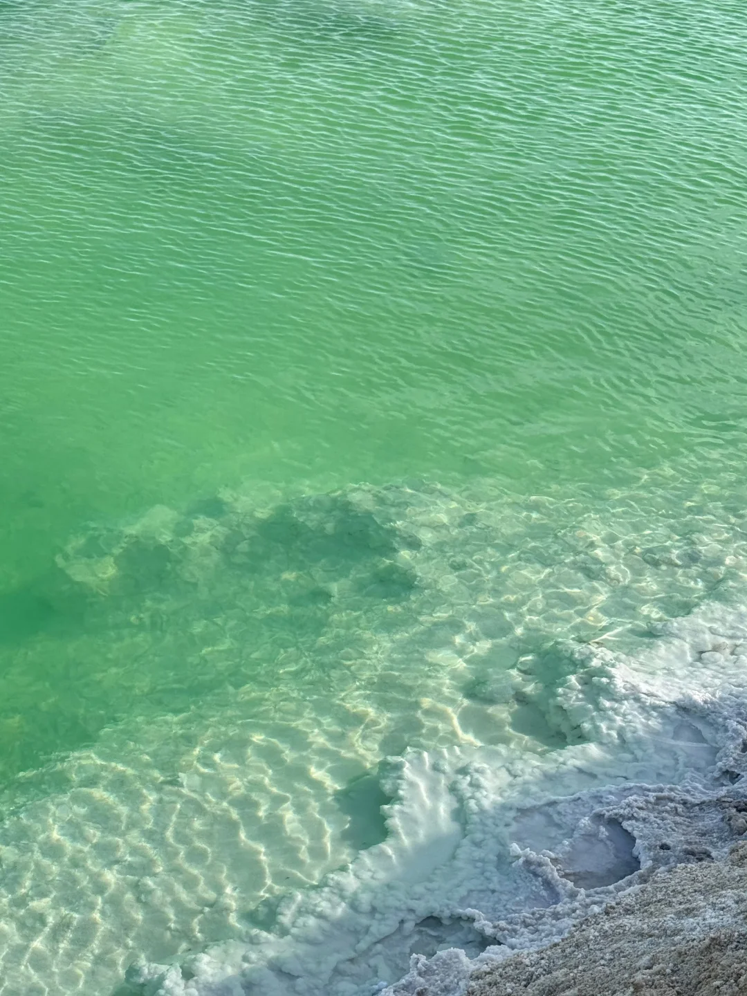 去！去的就是西北！（已回）