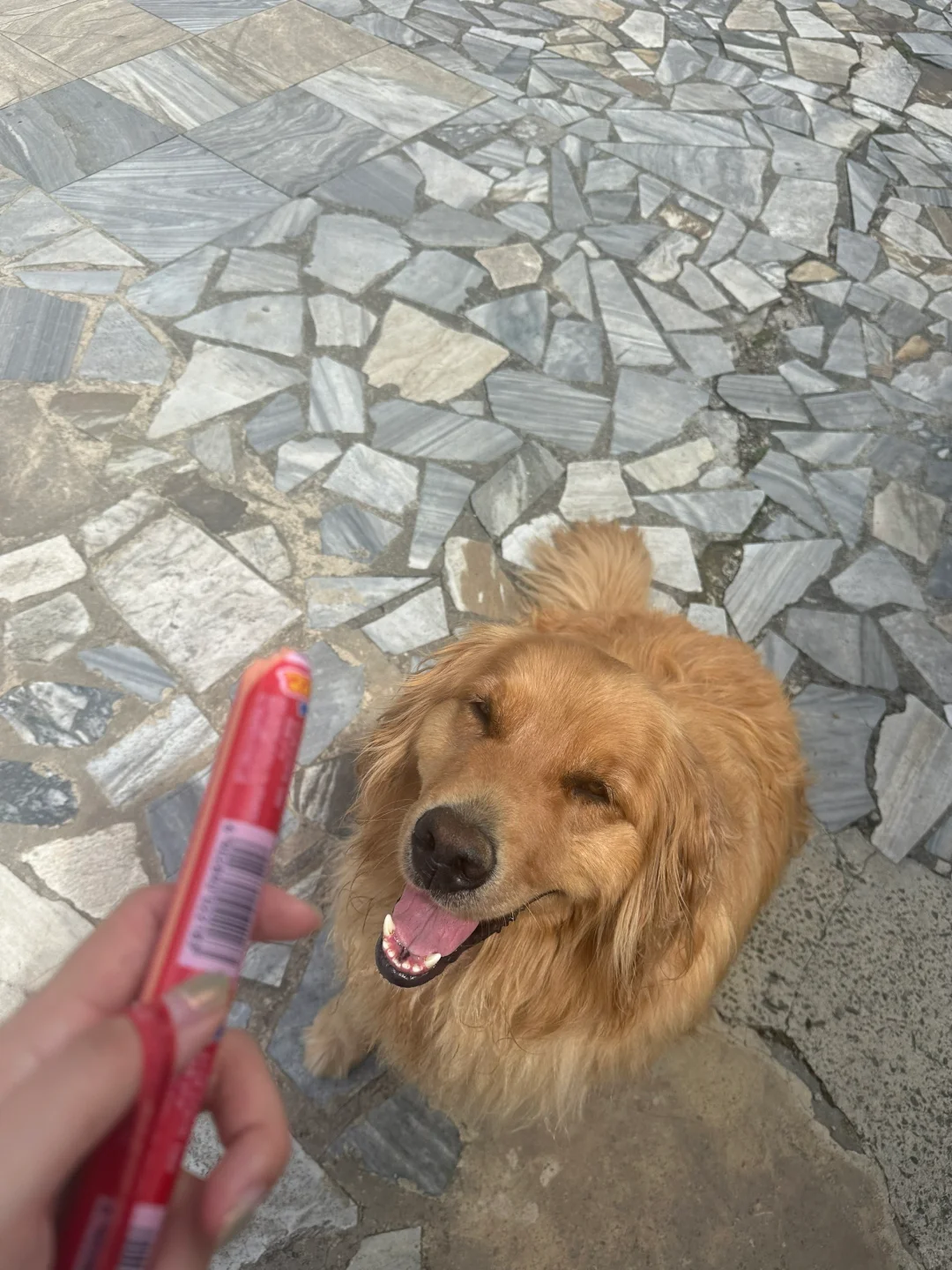 苍山徒步攻略（景区版）大理|云南徒步