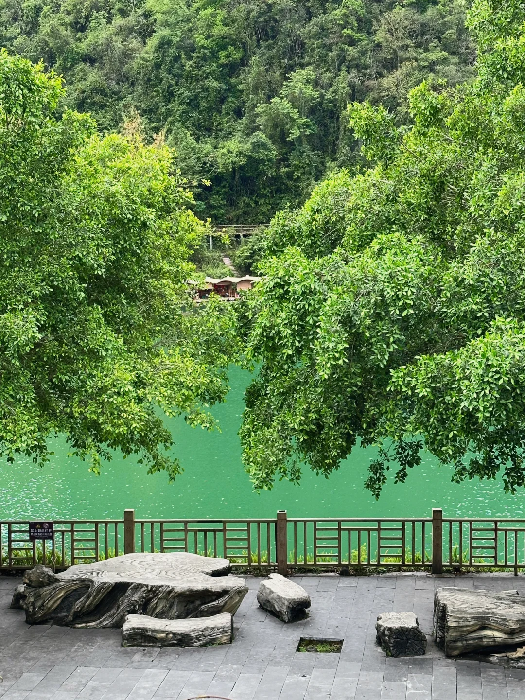 贵州旅游｜荔波小七孔 地球腰带上的绿宝石