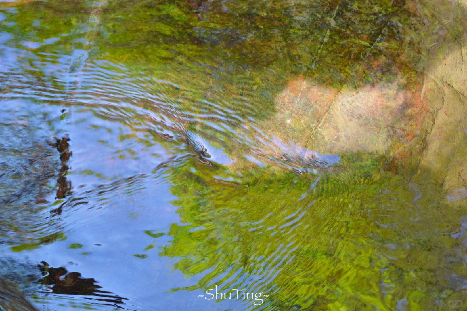 🟢喜欢那一抹流动的绿🍃邯郸七步沟美到失语