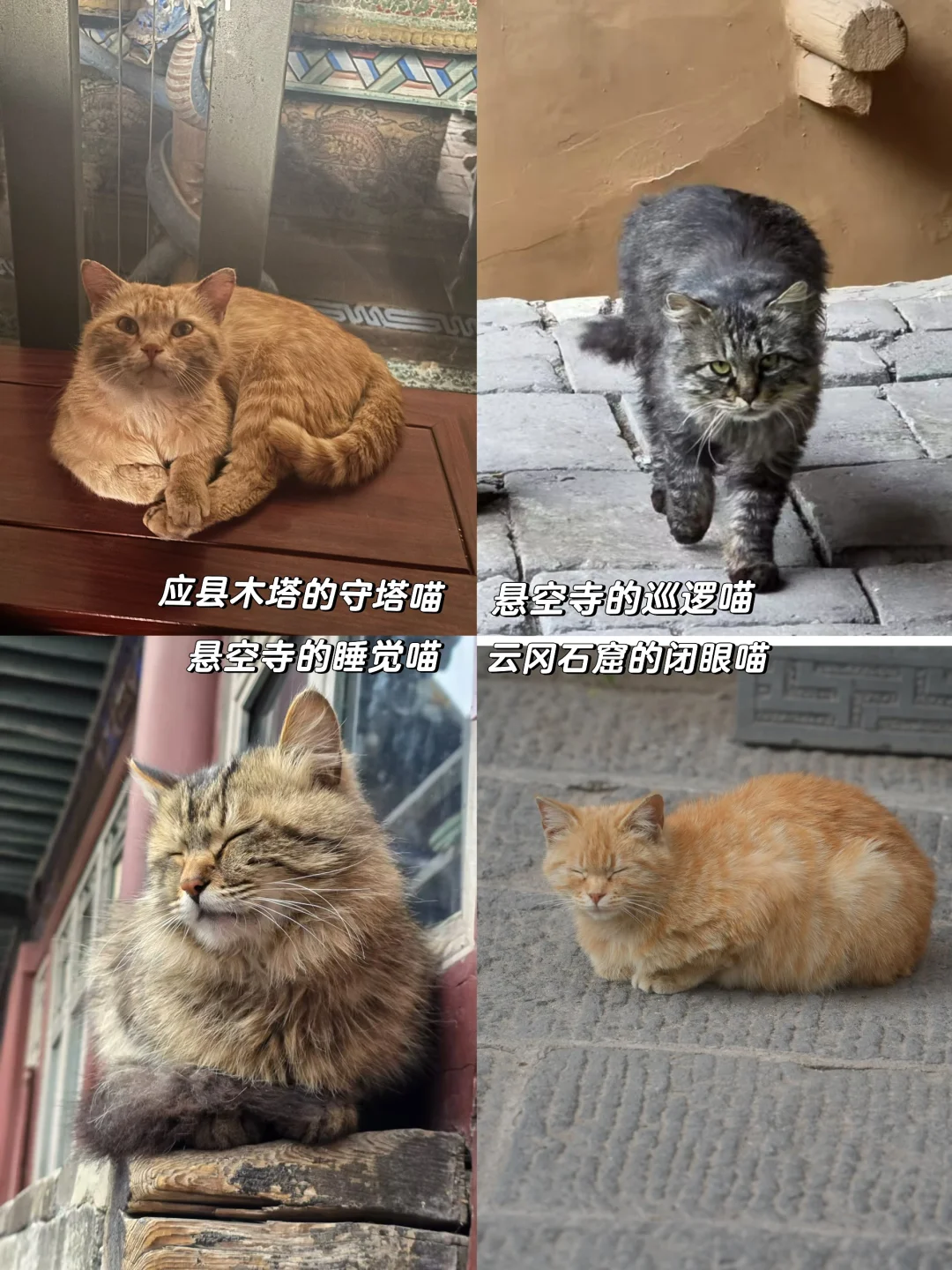 大同4天3晚旅游攻略👉吃住玩拍全攻略