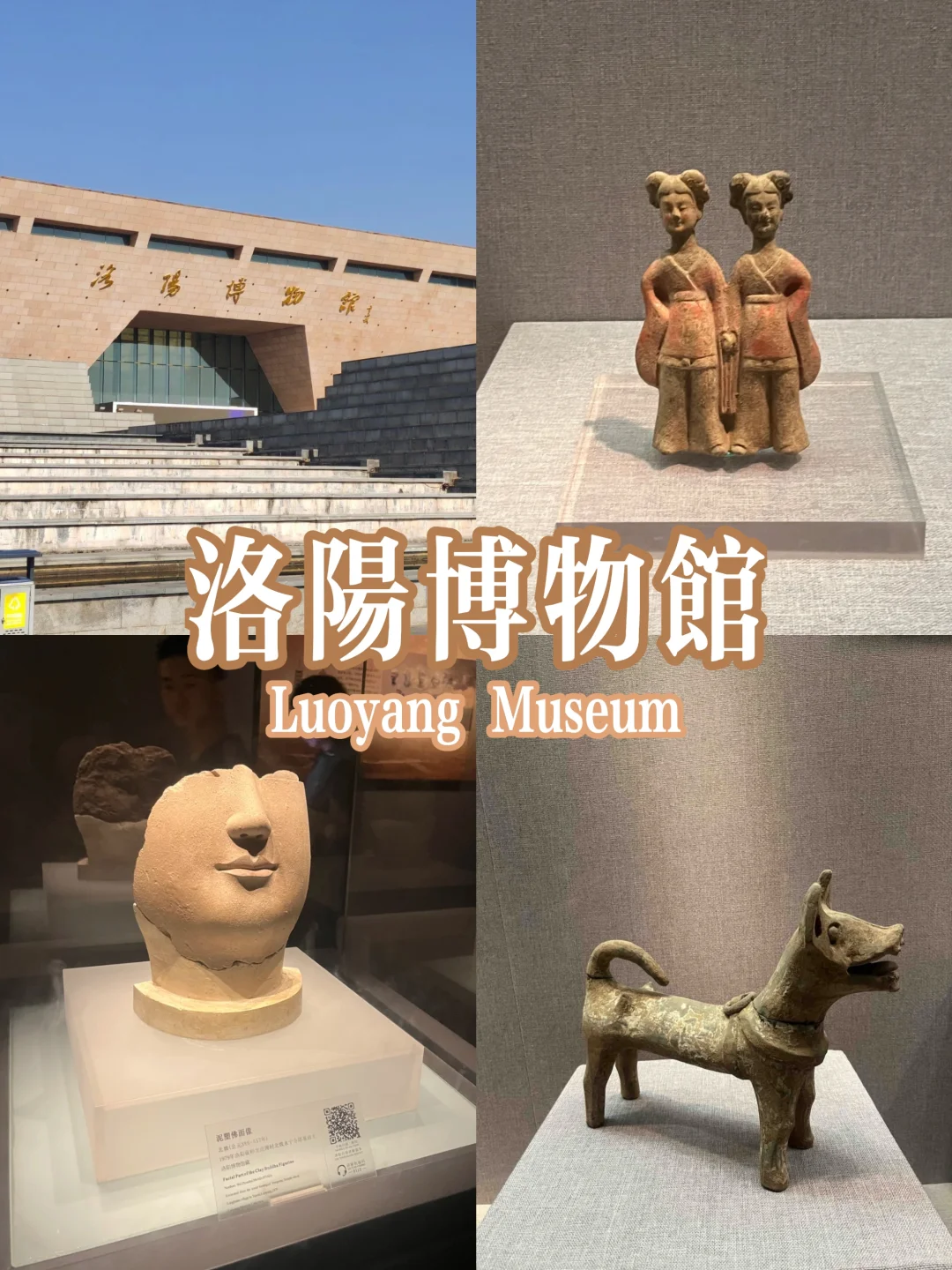 洛阳三日游攻略🏮看这篇就够啦‼️真的好详细