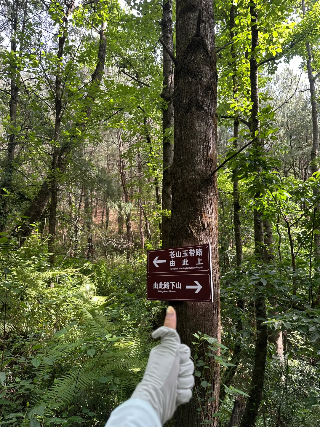 苍山徒步攻略（景区版）大理|云南徒步