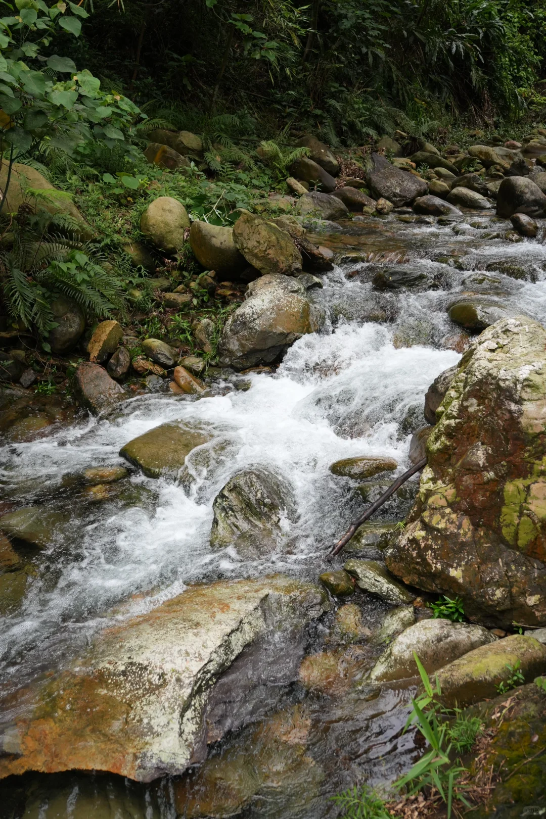 喜欢…爱上肇庆紫云谷