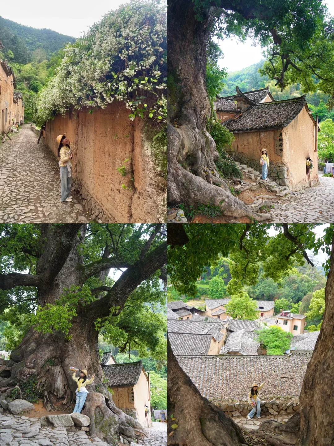 丽水松阳！被严重低估的遛娃宝藏地！后悔才来