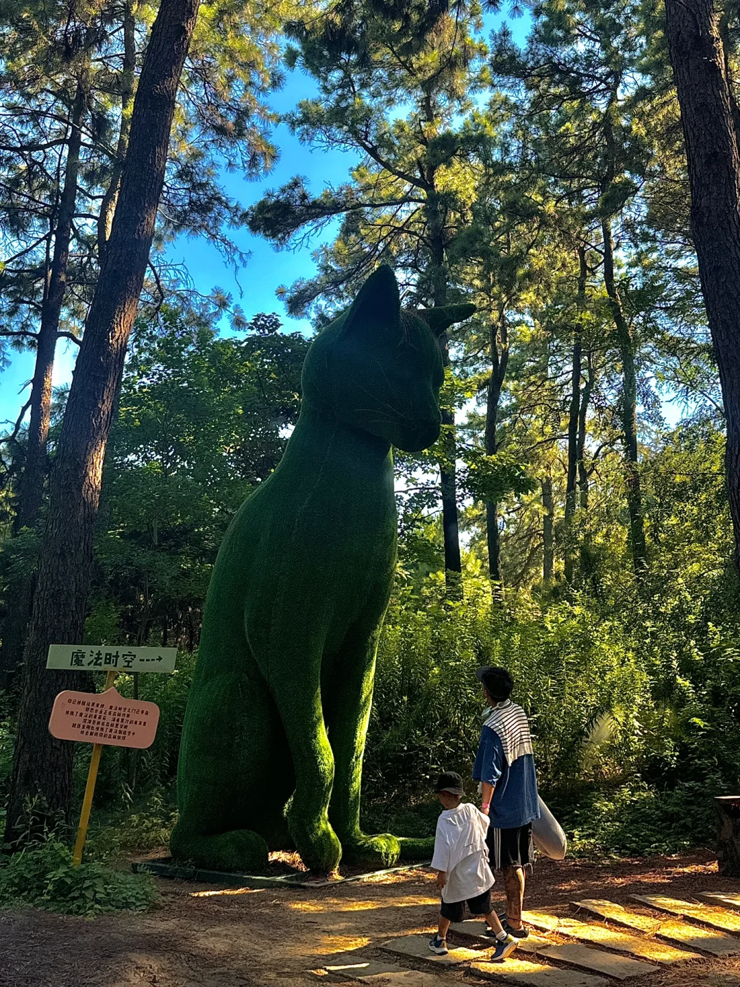 苏州开车2h,来到了魔法世界🦍🐳🦆🦌