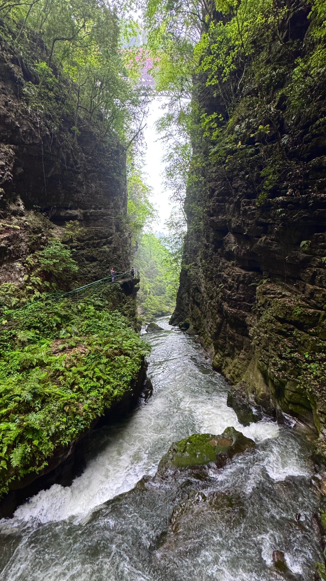 香火岩瀑布不再走弯路，带着景区平面图来的
