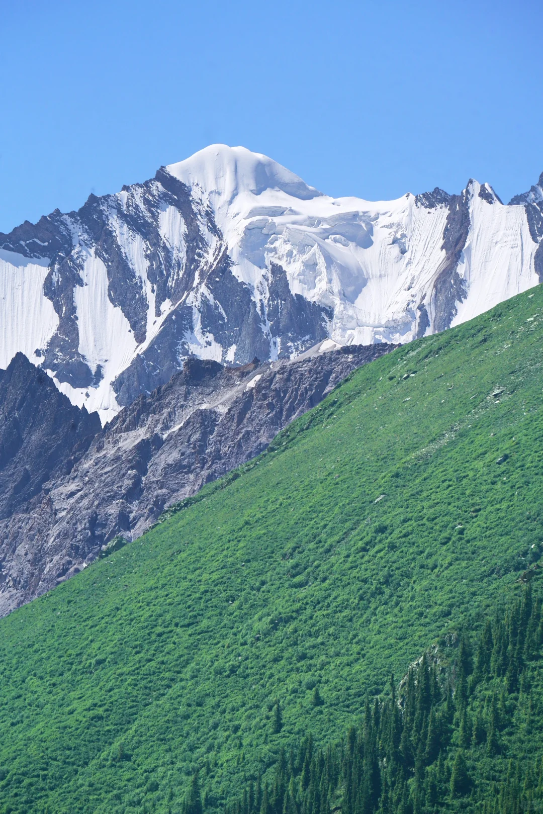 6月的夏塔是拍人生照片的最佳季节