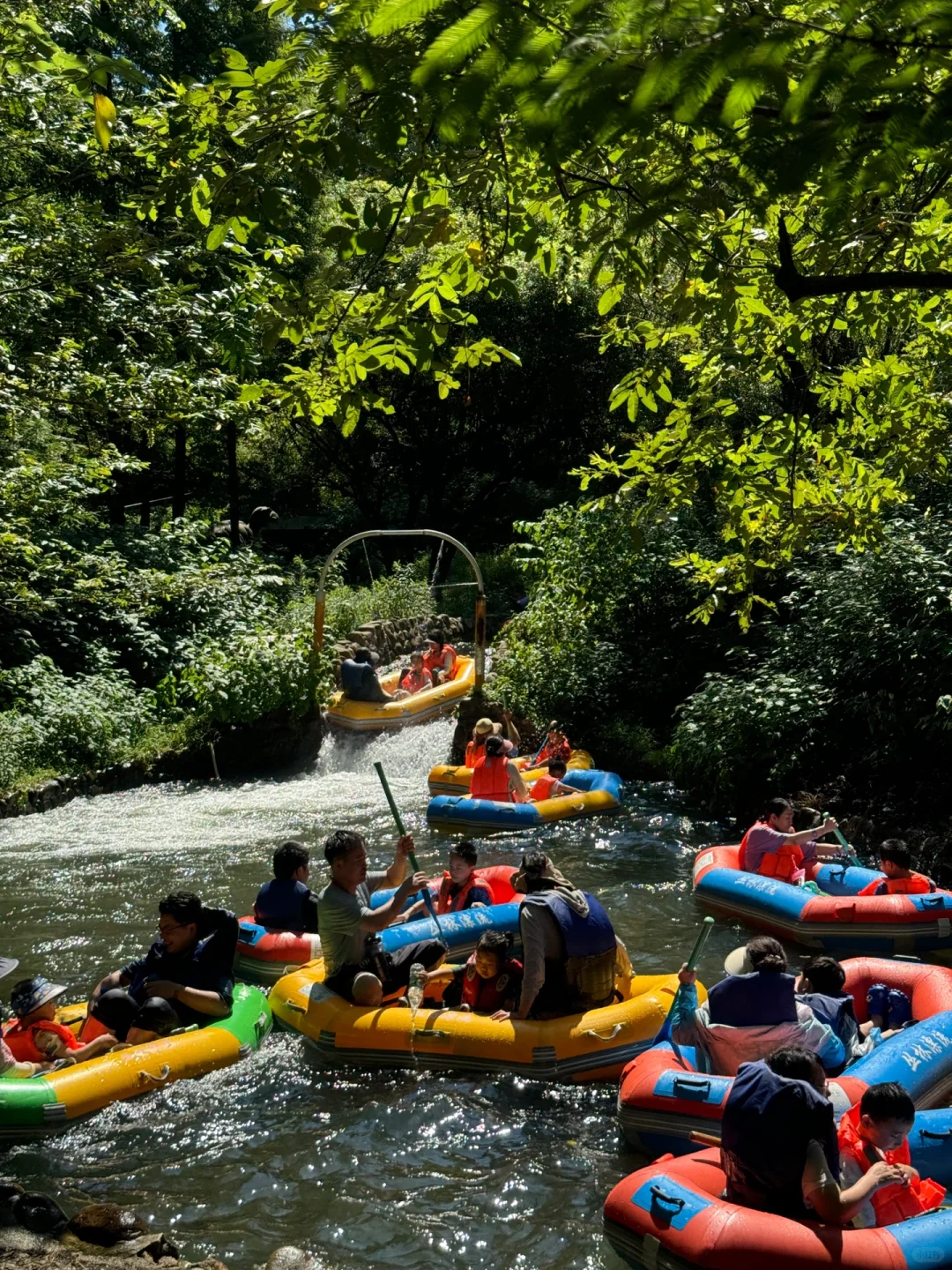 苏州开车2h,来到了魔法世界🦍🐳🦆🦌