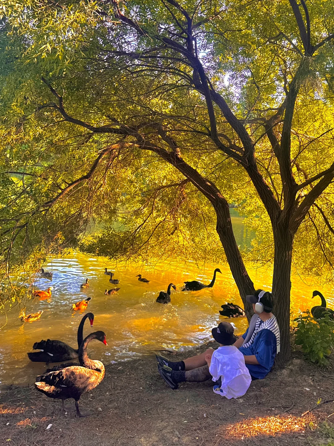 苏州开车2h,来到了魔法世界🦍🐳🦆🦌