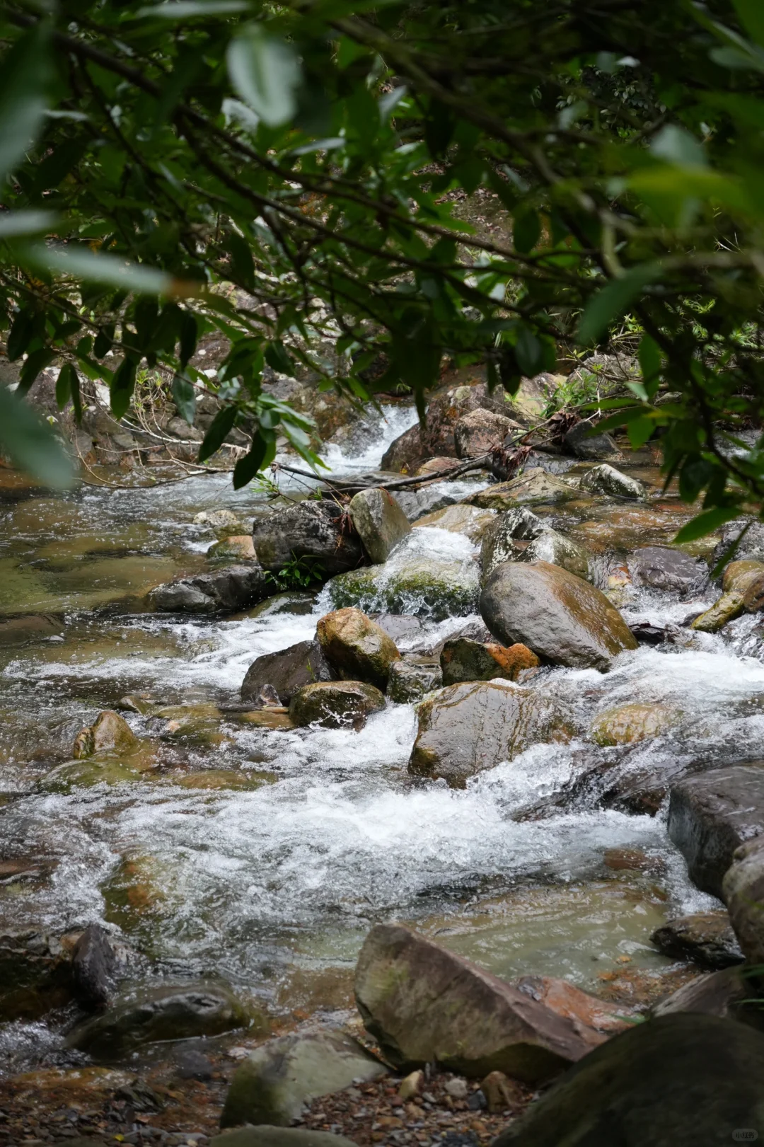 喜欢…爱上肇庆紫云谷