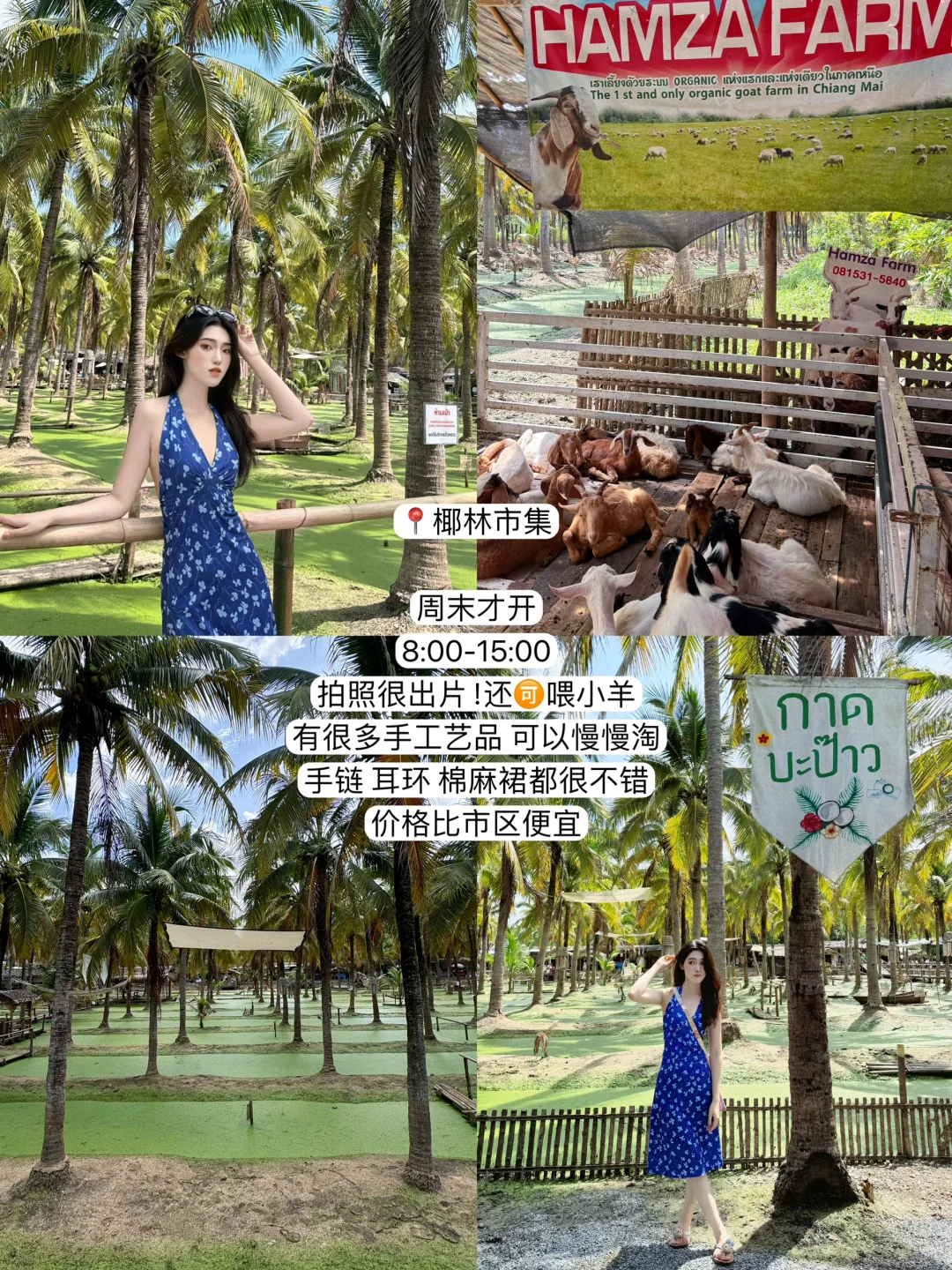 最新清迈五天四夜!P人旅游攻略(含费用)