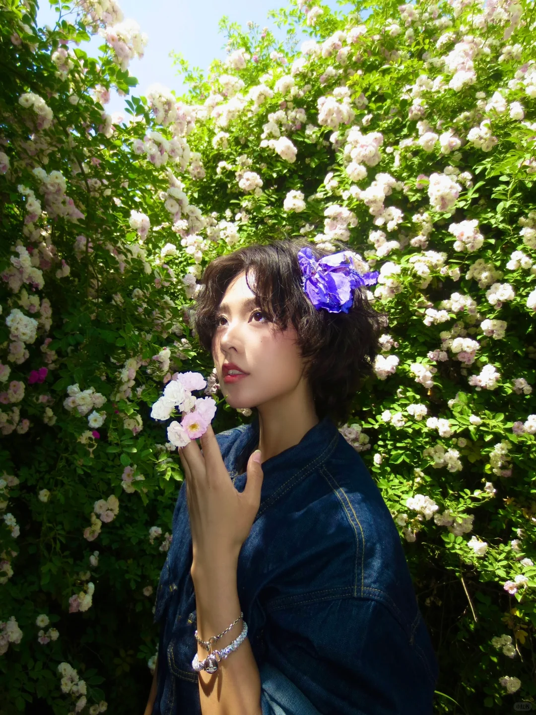 邯郸紫山公园里的蔷薇花墙～（附详细路线）