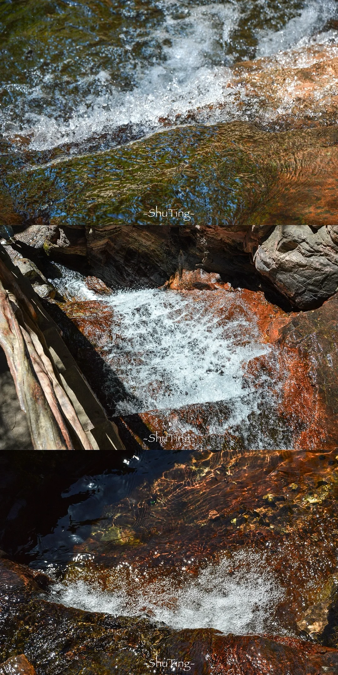 🟢喜欢那一抹流动的绿🍃邯郸七步沟美到失语