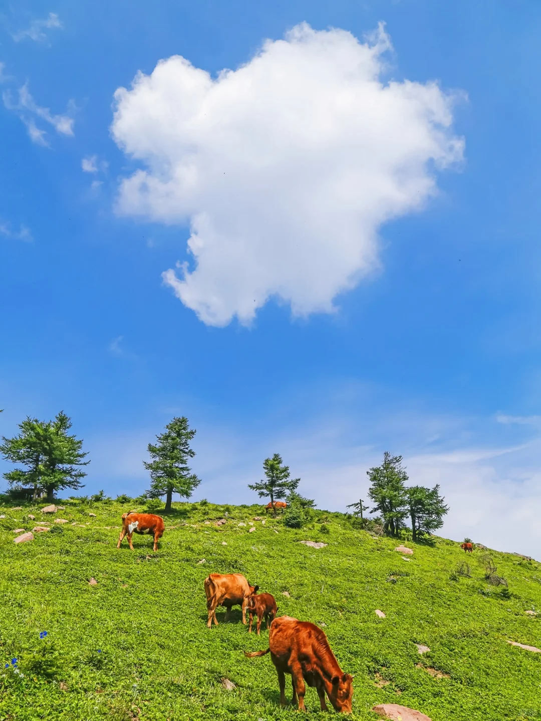 还是低估了山西，这样的风景都藏哪儿了