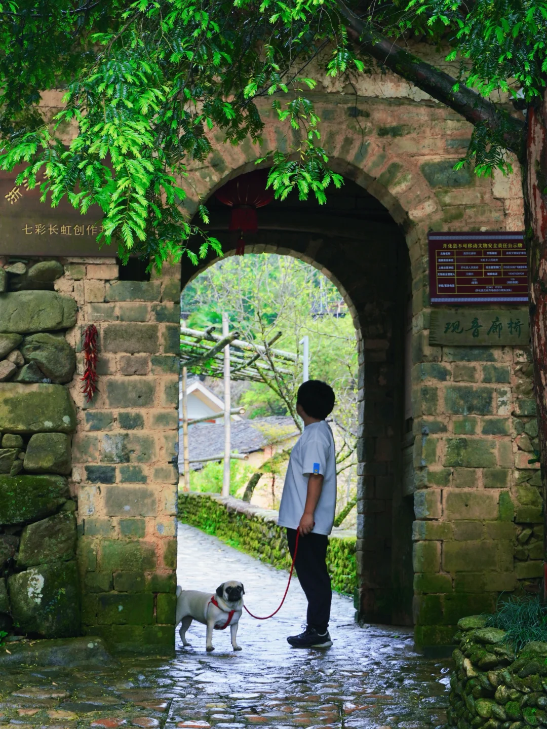 浙江最低调宝藏县城开化:3天2晚游玩攻略