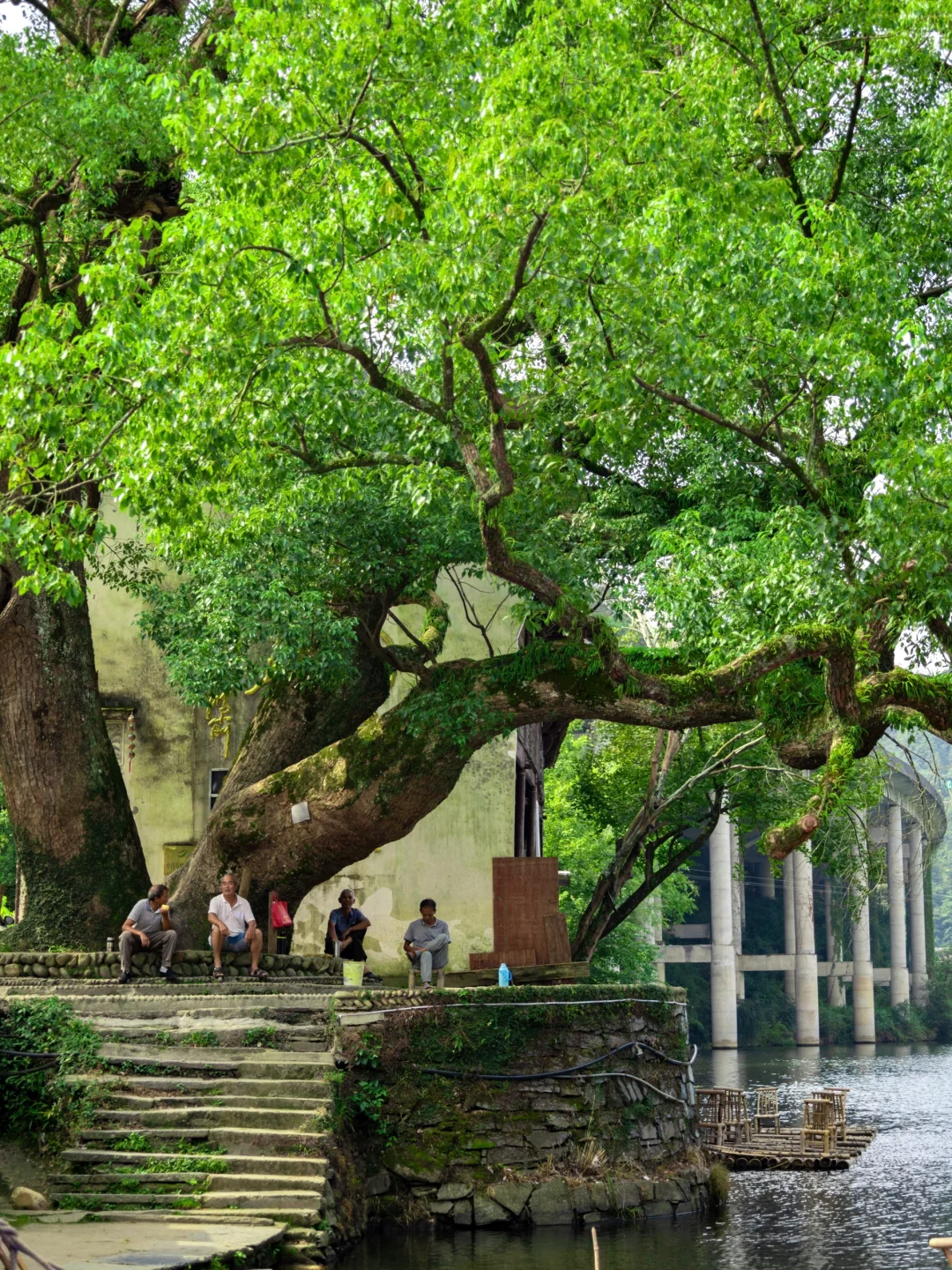 比起景德镇,我更爱国家地理推荐的治愈小城…