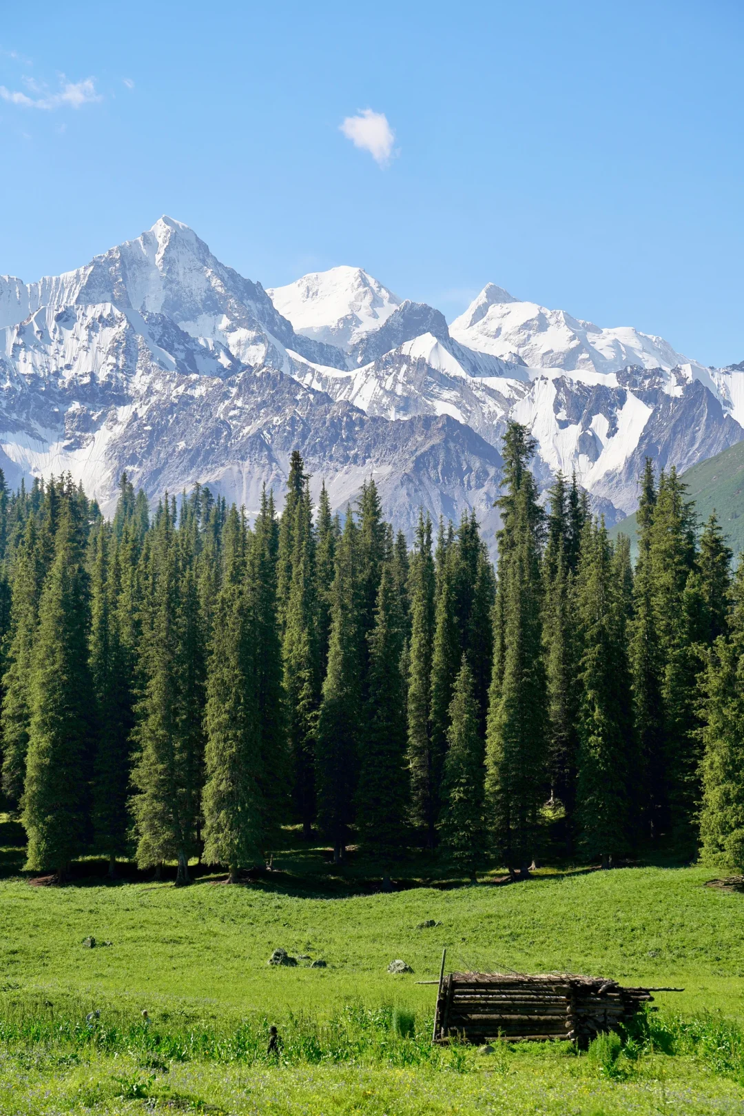 6月的夏塔是拍人生照片的最佳季节