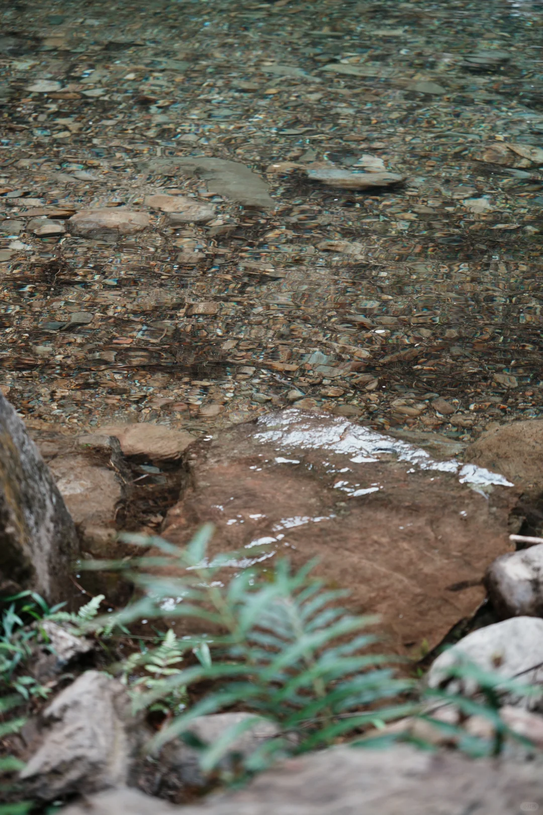 喜欢…爱上肇庆紫云谷