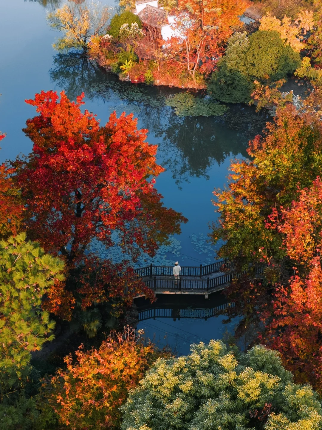 迄今为止，安徽我最喜欢的避世小镇出现了‼️