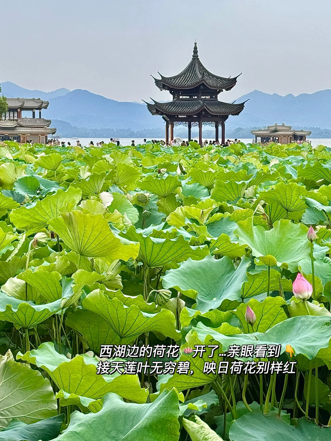 杭州旅游:(3天2晚)Citywalk版…………