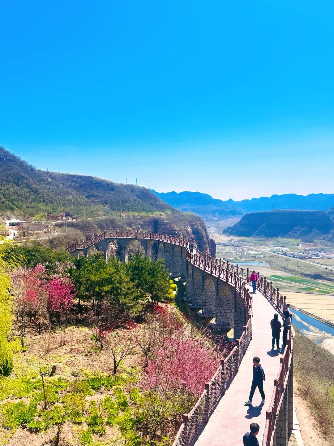 别人旅游看风景，我却在农家乐饿了一中午‼️