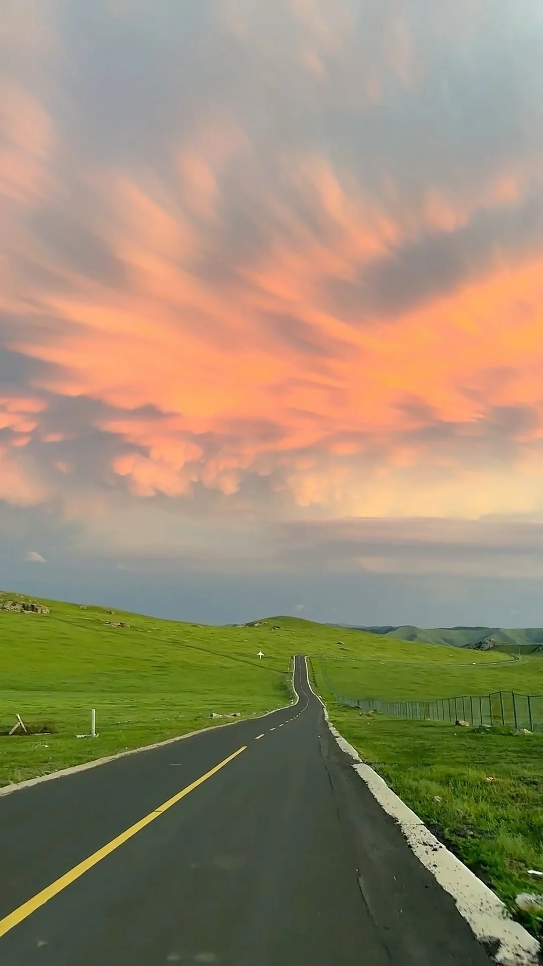 Live图的意义😭在这里体现的淋漓尽致……