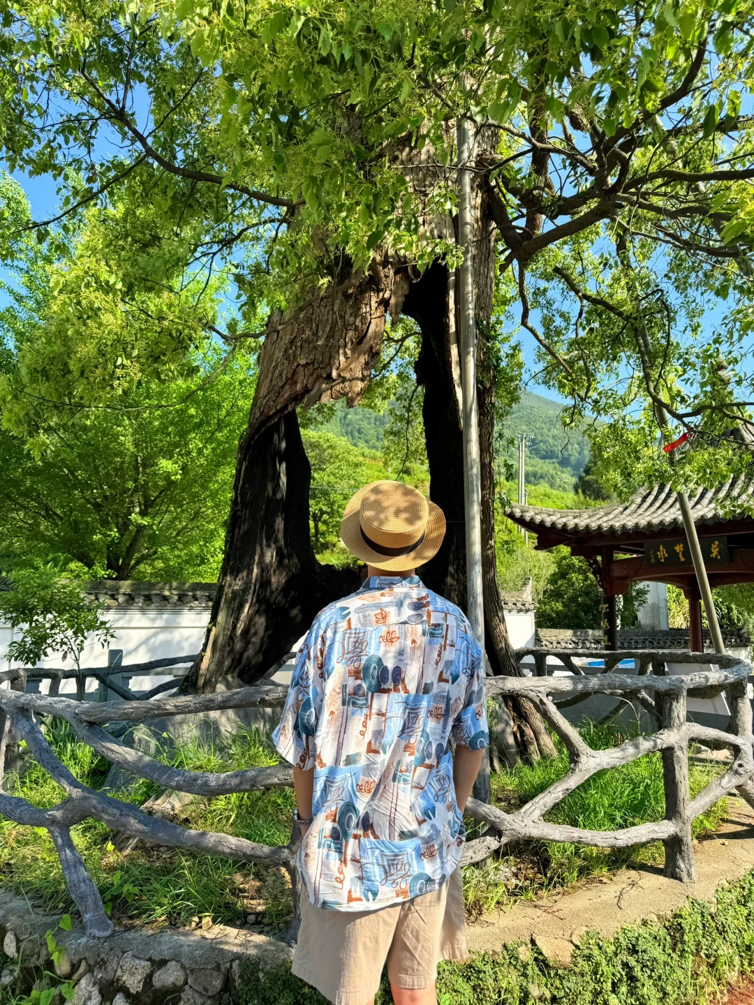 （免费）以为婺源已经够美了，直到我去了这里…