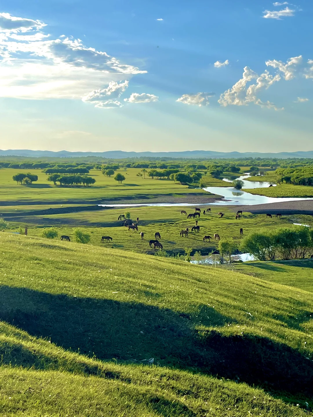 去了呼伦湖，你就知道大草原的含金量了！