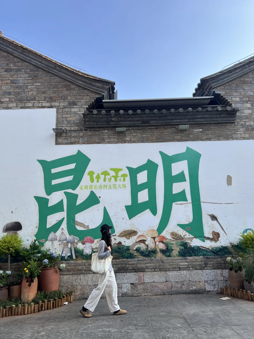 昆明一日游|详细攻略只看这篇!(附爆款机位)