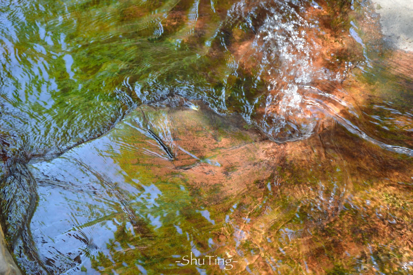 🟢喜欢那一抹流动的绿🍃邯郸七步沟美到失语