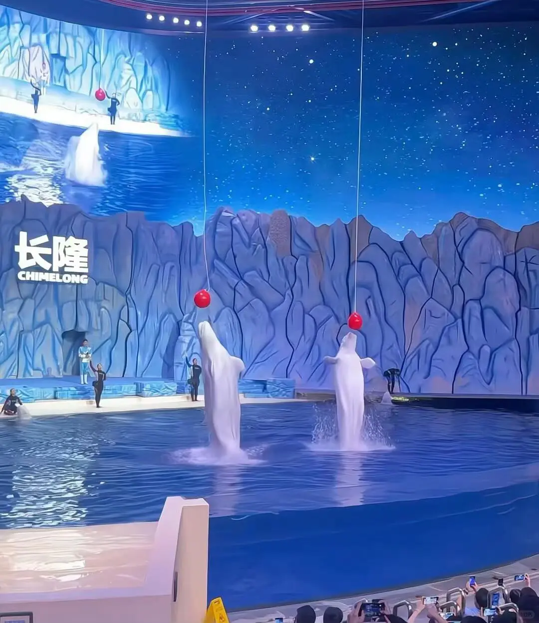 珠海长隆攻略 超详细版